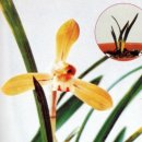 (주)금화 이미지