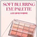 메이크오피스 | 웨이크메이크 아이팔레트 후기, 소프트 블러링 16구 리얼 사용기
