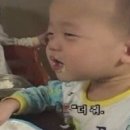 퓨전분식