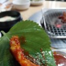 조가네불닭발 이미지