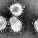 플러스미(주) 이미지