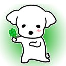 달빛 요가(야간) 이미지