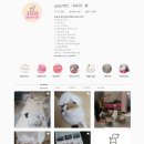 도도네 개집 이미지