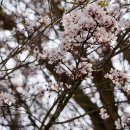 이진호 농장 이미지