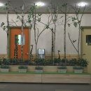 경희숲유치원 이미지