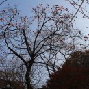 아름다운 동행 이미지