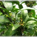 이슬농장 이미지