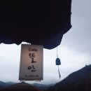 거북이약방