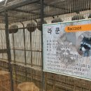 이재현농장 이미지