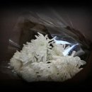 화수로 14번길 이미지