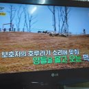 가고파슈퍼 - 함안군 중암7길 30 | 가고파슈퍼