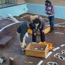 우리동네 고고학자(여름방학) 이미지