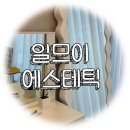 일므이 에스테틱 | 서울 잠실 : 잠실피부관리 피지제거관리 일므이 에스테틱 후기