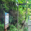 솔마루길 대공원산 | 곳] 도심 속 숲 캉스, 울산 솔마루길 트레킹 완벽 코스 추천 | 솔마루길 다리에서 현충탑까지 | 숲이...