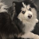 석촌고분역 이미지