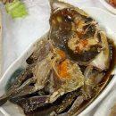 안녕이네 횟집 | 서천 홍원항 가을 제철 전어&광어 한상차림 ‘안녕이네 횟집’ 현지인 추천 | 전어 시세, 가격 정보