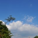 송전마을 이미지