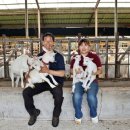 진안축산 이미지