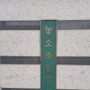 농소초등학교 이미지