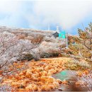 오성목장 1 이미지