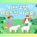 흙사랑3농장 이미지