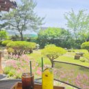 가비카페 - 영월군 두산길 15 | 왜관 한옥카페 라온가비 방문후기 ☕🌿 정원 있는 감성카페, 아기랑 다녀온 솔직후기