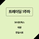SK네트웍스 | SK네트웍스, 태광, 한일사료 매매 후기(트레이딩 1주차)