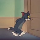 톰과제리 이미지