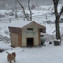 큰바위펜션 | [진안] 진안 여행 숙소 추천 - 큰 바위 펜션 후기