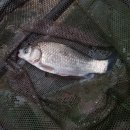 매일낚시터 이미지