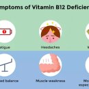 B12 이미지