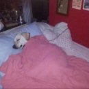 원고잔로 이미지