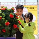 칠곡군국공립왜관하나어린이집