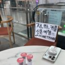 521 | Asiana airline to London / 아시아나 비즈니스 후기 / OZ521