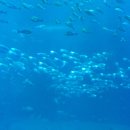 사랑나무한의원 이미지