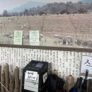 주천컨설팅