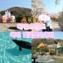 신탄진어린이공원 | 대전오월드 동물원 4월 평일 방문 후기 : 벚꽃 개화 현황 인생네컷 대전사랑카드 할인