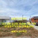 늘봄부동산중개 이미지