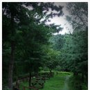 구산-017 이미지