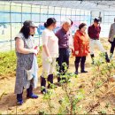 생태농원소향 이미지