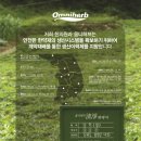 아이마미한의원 네이버블로그