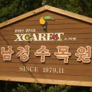 일영 이미지