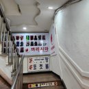 올리버포켓볼 이미지