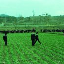 그 시절 시골 마을의 친숙한 풍경 이미지