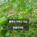 덕곡농장 | 홍보전략