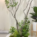 치과다운 치과교정과 치과의원 이미지