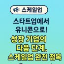 스케일 티스토리