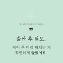머리이야기 | 출산 후 탈모, 왜 머리 감을 때 더 빠질까요? 실제 후기에서 찾은 두피 변화 이야기_ 송파 두피관리...