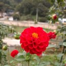 첫번째 계절 이미지