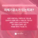 봄치과기공소 이미지